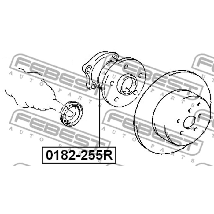 Ступица задняя febest 0182-255r