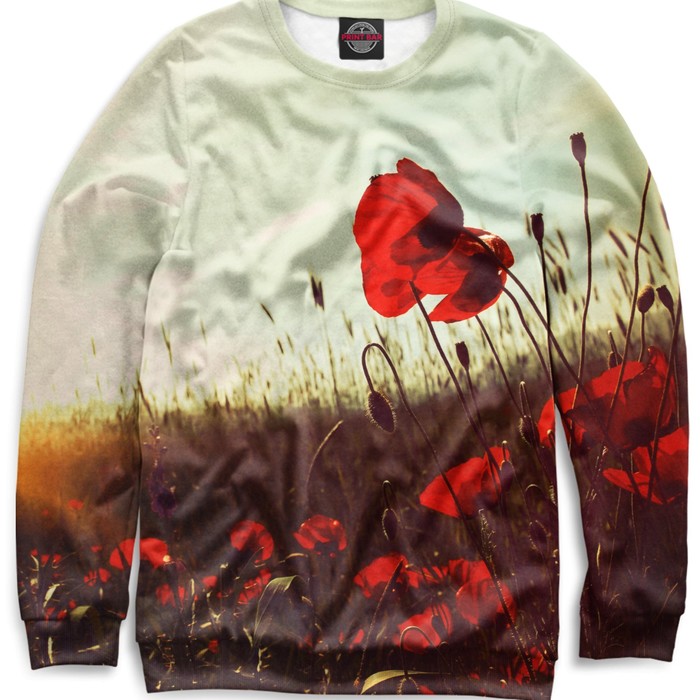 Свитшот для девочки "Цветы" , рост 116 см CVE-858958