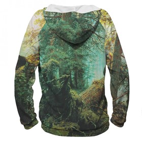 

Худи для девочки «Утро в сосновом лесу», рост 146 см