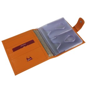 

Кредитница (2 ряда), натуральная кожа, 18/36, оранжевый