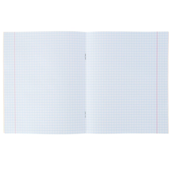 Тетрадь 12 листов клетка Calligrata "Принцесса", обложка мелованный картон, 5 видов МИКС