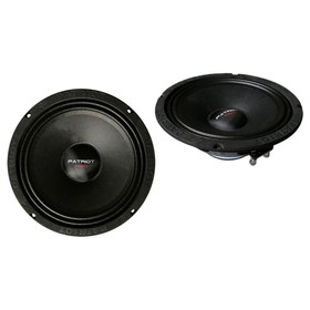 

Акустическая система URAL AS-PT200 Patriot Neo, 20 см, 360 Вт