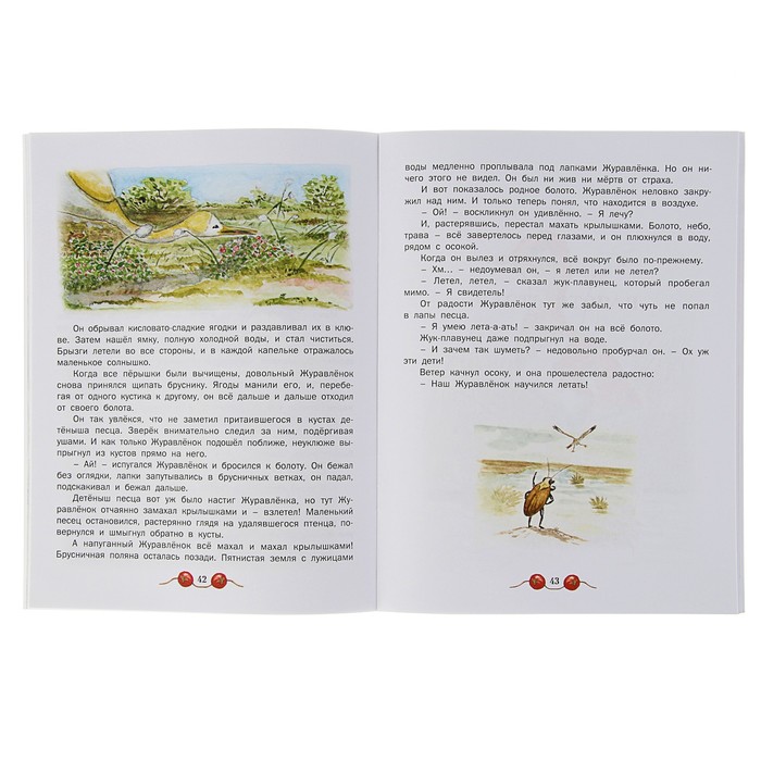 Сказки русского леса. Журавлиное солнышко