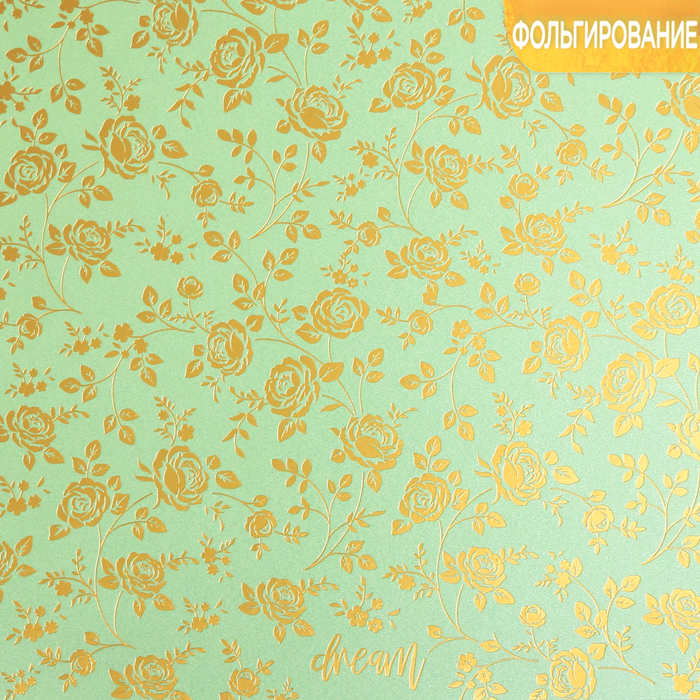 Бумага жемчужная с фольгированием «Мечтай», 20 х 20 см, 250 г/м