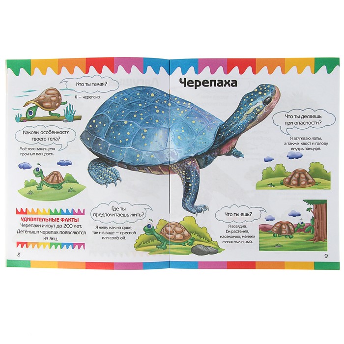 Мои первые вопросы и ответы. Рептилии и амфибии