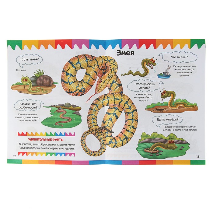 Мои первые вопросы и ответы. Рептилии и амфибии