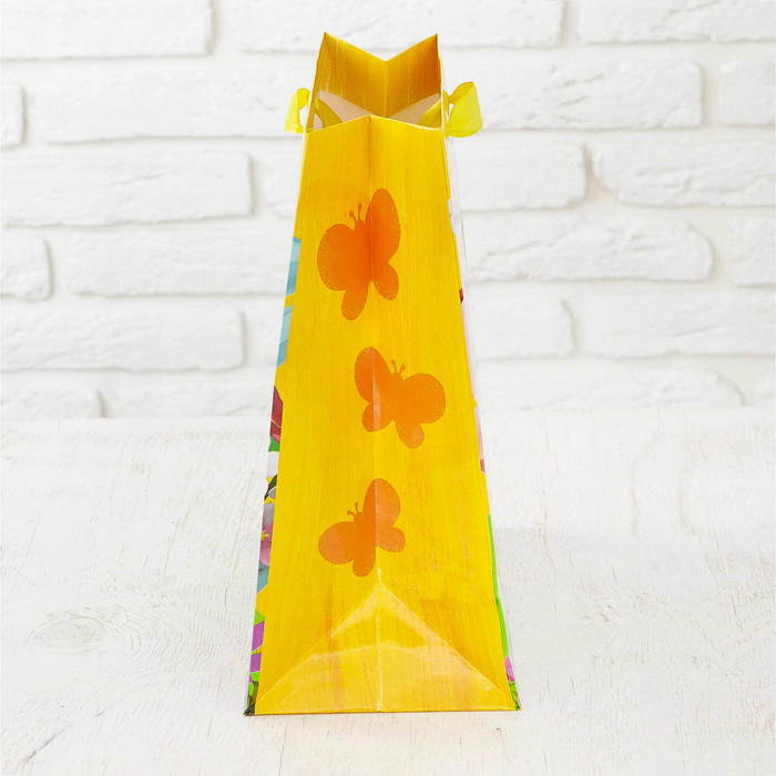 Пакет ламинат вертикальный СМЕШАРИКИ "С днем рождения!", 18 х 23 х 10 см