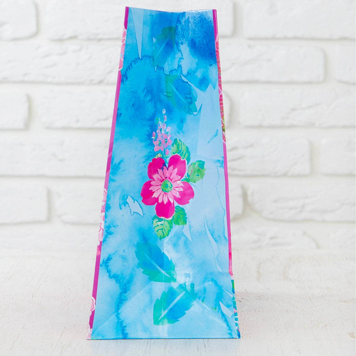 Пакет ламинированный "С днем рождения!", феи ВИНКС, 23 х 27 х 11.5 см