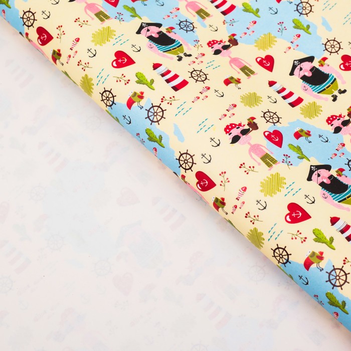 Бумага упаковочная "Пираты", 50 х 70 см