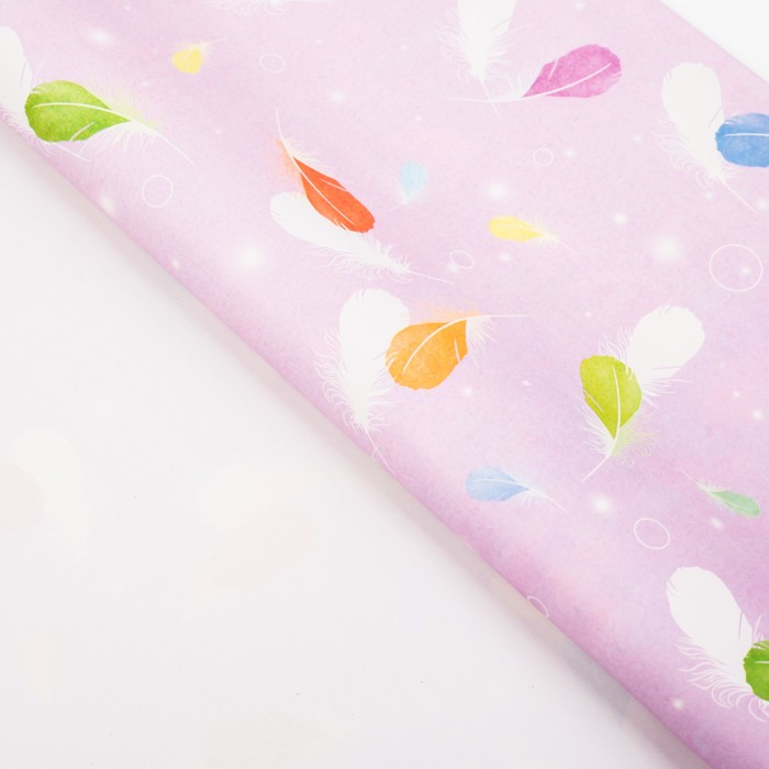 Бумага упаковочная "Перышки", 50 х 70 см