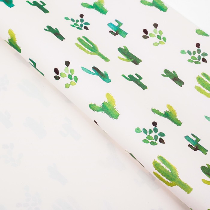 Бумага упаковочная "Кактусы", 50 х 70 см