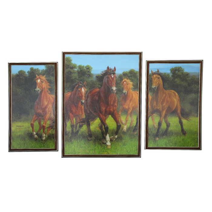 Модульная картина в раме "Кони" 26*50,44*60,30*50  60*100см