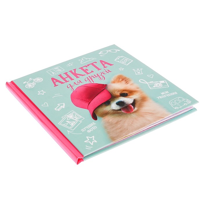 Подарочный набор "Возьми меня с собой": анкета для девочек в твёрдой обложке с наклейками и карандаши, 6 шт