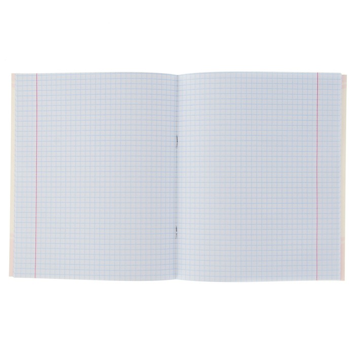 Тетрадь 24 листа клетка Calligrata "Девчонки", обложка мелованный картон, 5 видов МИКС