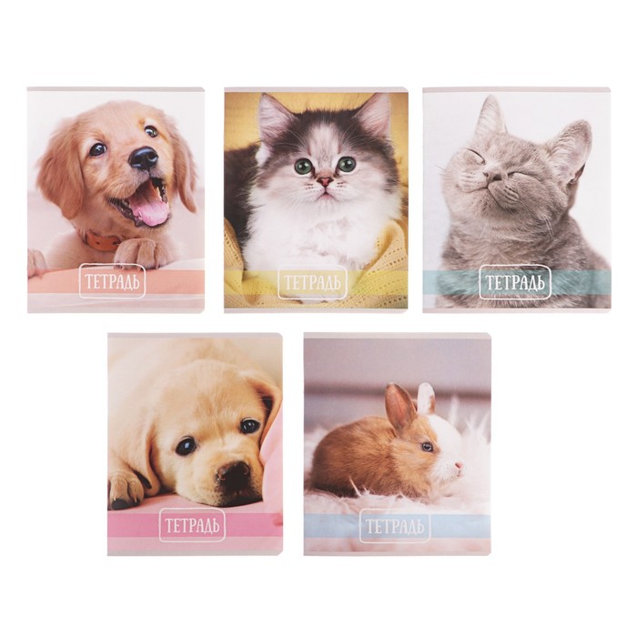 Тетрадь 24 листа клетка Calligrata "Домашние животные", обложка мелованный картон, 5 видов МИКС