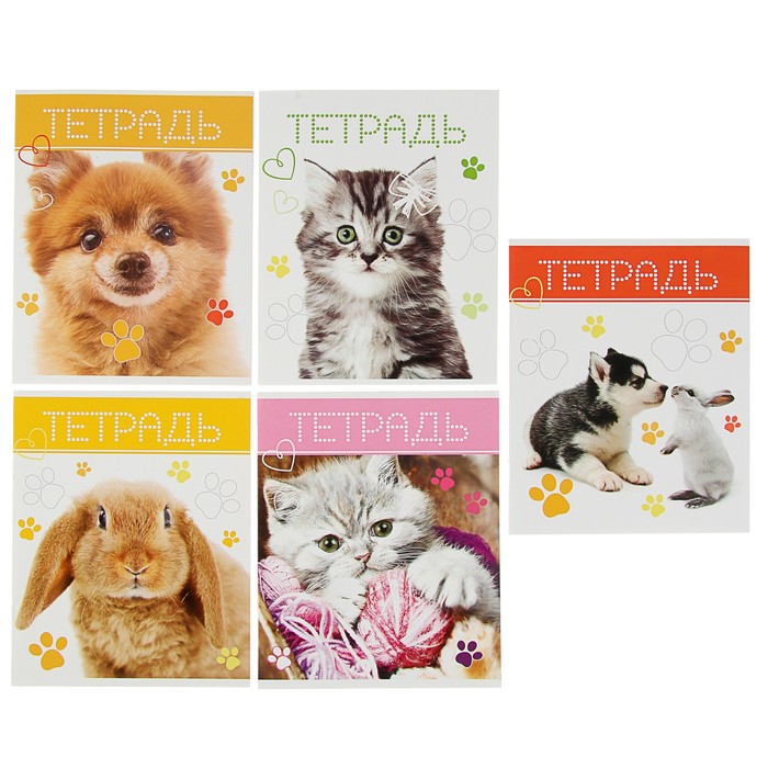 Тетрадь 24 листа клетка Calligrata "Милые животные", обложка мелованный картон, 5 видов МИКС