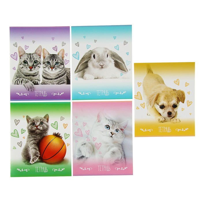 Тетрадь 24 листа клетка Calligrata "Животные и сердечки" , обложка мелованный картон, 5 видов МИКС