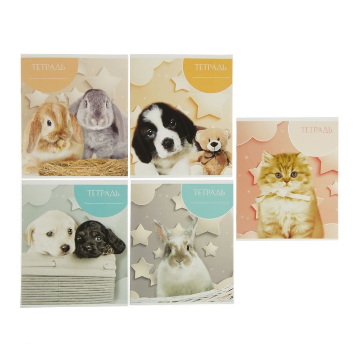 Тетрадь 24 листа клетка Calligrata "Милые животные 2", обложка мелованный картон, 5 видов МИКС