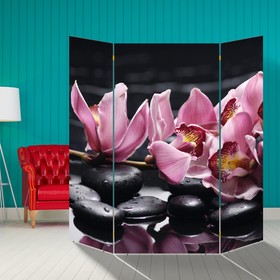Ширма "Ветка орхидеи", 160 × 160 см от Сима-ленд