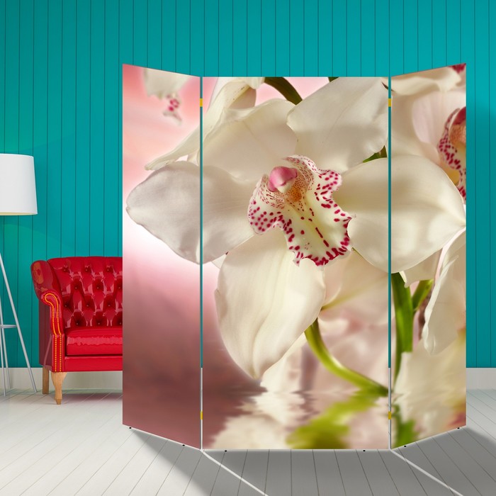 Ширма "Орхидея. Айвори" 160 × 160см