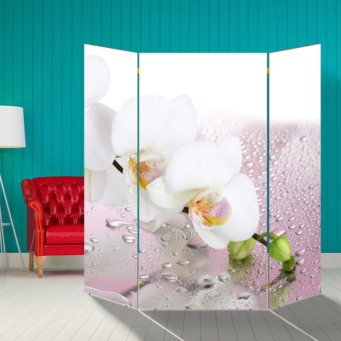 Ширма "Орхидея и капли воды" 160 × 160см