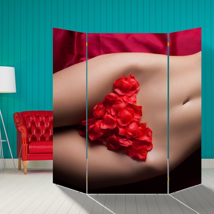 Ширма "Интрига" 160 × 160см