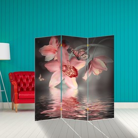 Ширма "Орхидея. Водная гладь", 160 × 150 см от Сима-ленд
