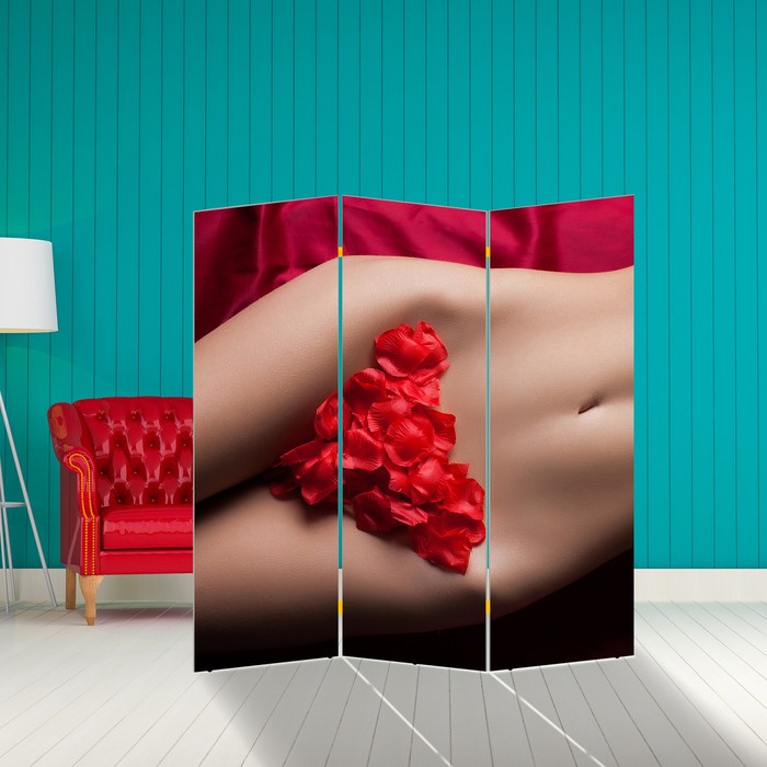 Ширма "Интрига" 150 × 160см