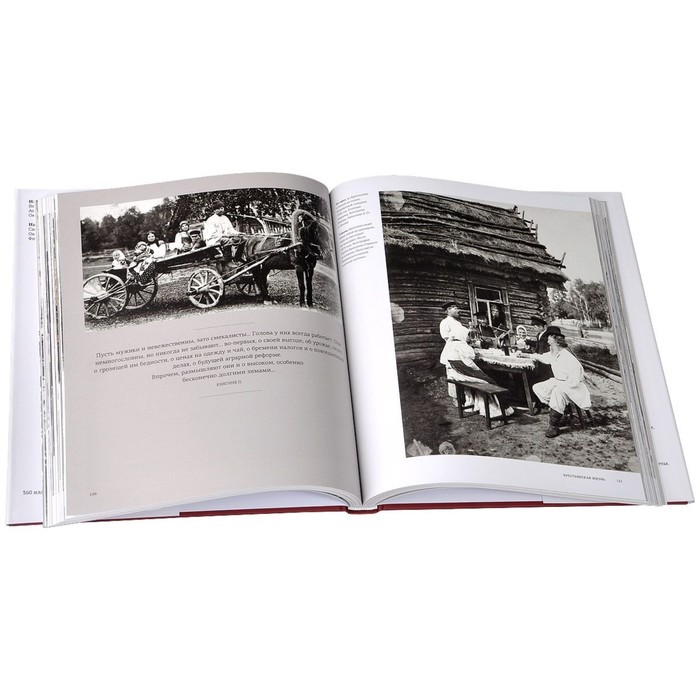 Романовы: последние годы династии. Блон Ф