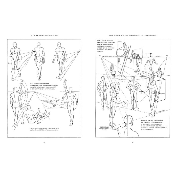 Рисование фигуры. Лумис Э.