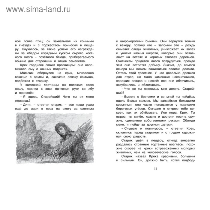 

Приключения доисторического мальчика. Д’Эрвильи Э.