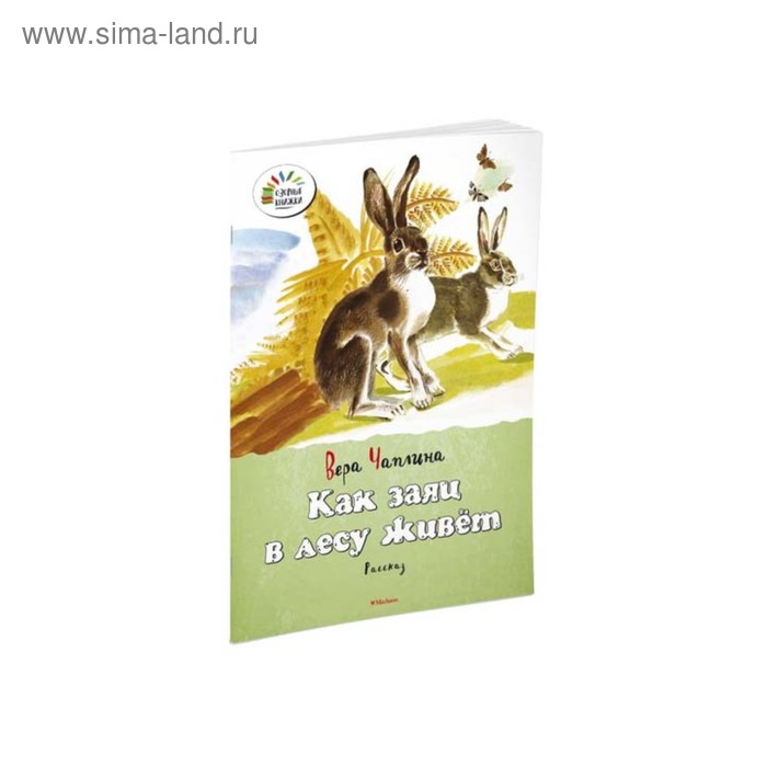 Книги в мягком переплете Как заяц в лесу живёт. Чаплина В. В.