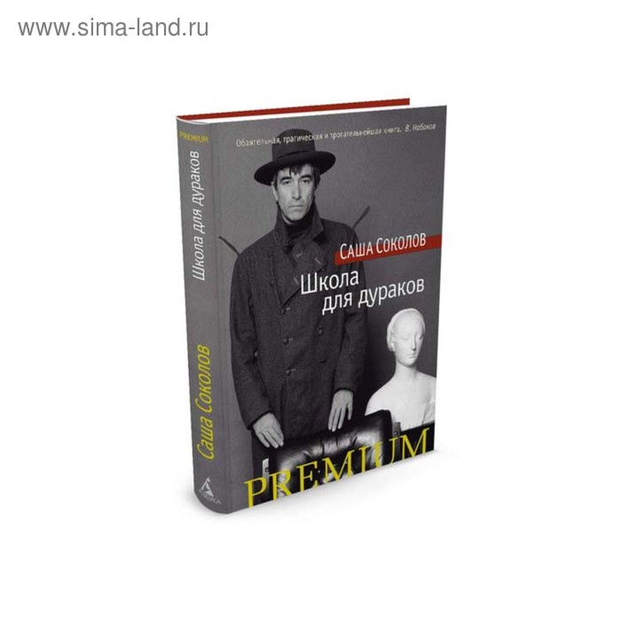 

Школа для дураков. Соколов С.