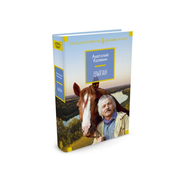 Русская литература. Большие книги. Цыган. Калинин А.