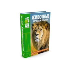 

Иллюстрированная энциклопедия «Животные крупным планом»