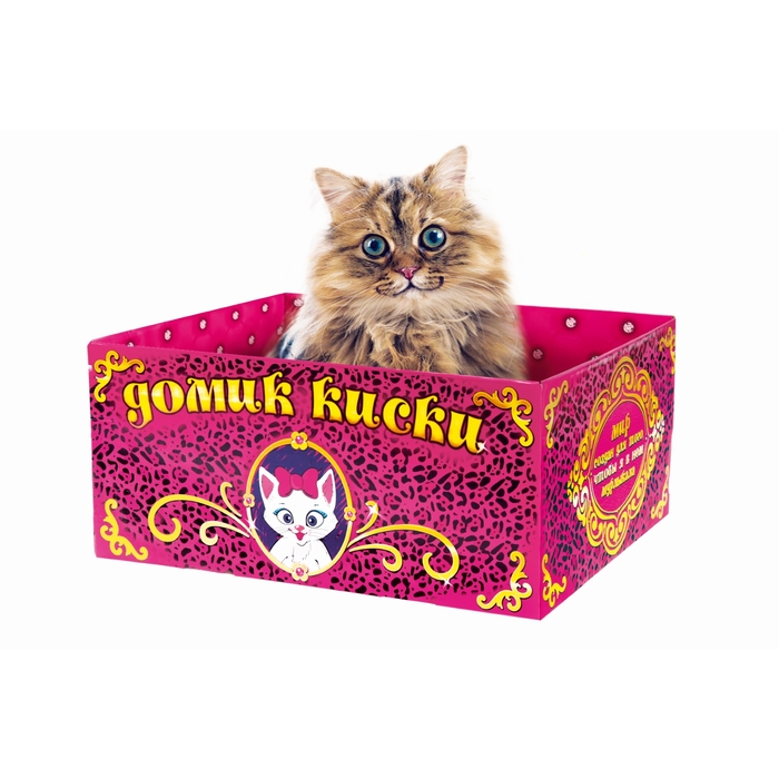 Домик-коробка с матрасом &quot;Домик киски&quot;,открытая
