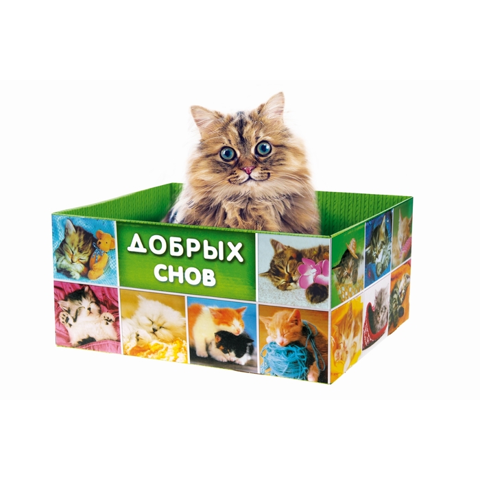 Домик-коробка с матрасом &quot;Добрых снов&quot;, открытая