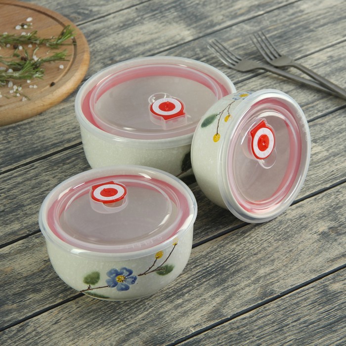 Набор салатников "Вивьен", 3 шт: 16х7,5/14,5х6,5/15,5х7,5 см, с крышками, цвет голубой