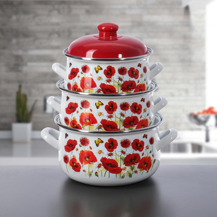 Набор кастрюль "Маки", 3 предмета: 2 л, 3 л, 4 л, эмалированная крышка