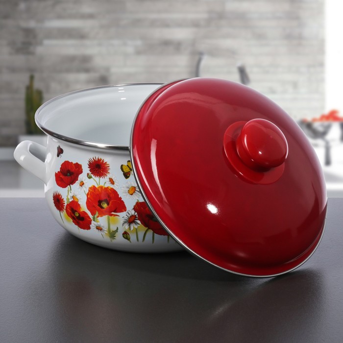 Набор кастрюль "Маки", 3 предмета: 2 л, 3 л, 4 л, эмалированная крышка