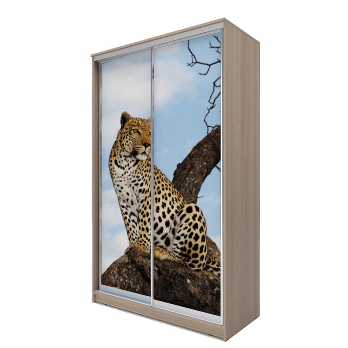 Шкаф-купе Хит-24-17-77 Ясень шимо светлый, Леопард