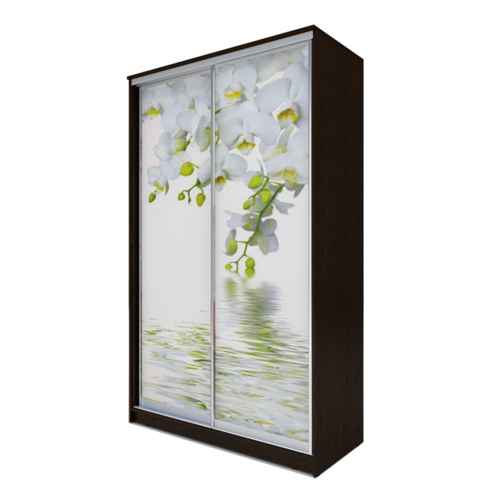 Шкаф-купе Хит-24-17-77  Венге магия, Орхидея