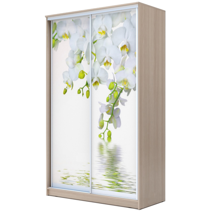 Шкаф-купе Хит-24-17-77 Ясень шимо светлый, Орхидея