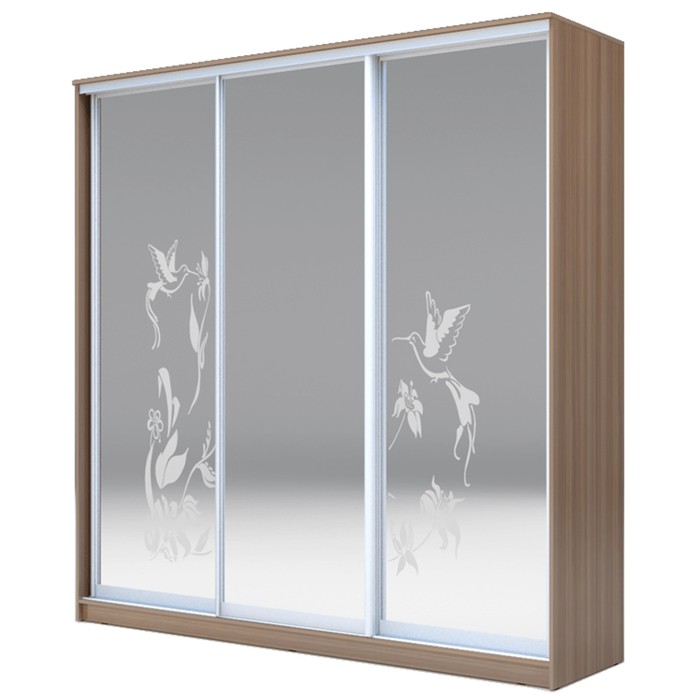 Шкаф-купе Хит-24-20-656 Ясень шимо тёмный, Колибри