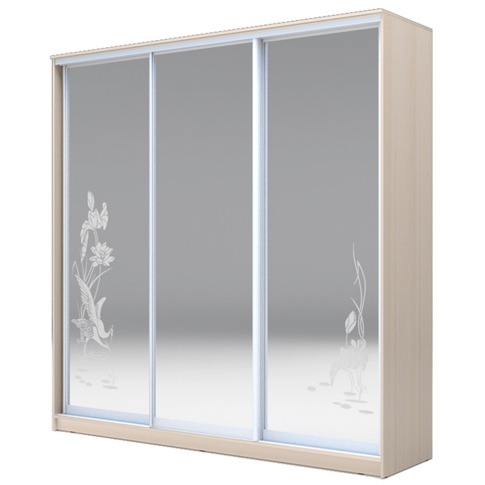 Шкаф-купе Хит-24-20-656 Дуб девонширский, Цапли