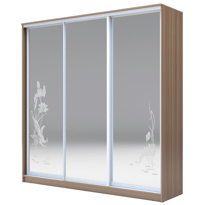 Шкаф-купе Хит-24-20-656 Ясень шимо тёмный, Цапли