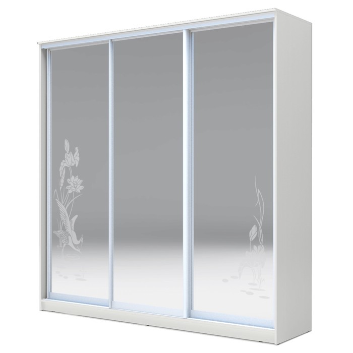 Шкаф-купе Хит-24-20-656 Белый, Цапли