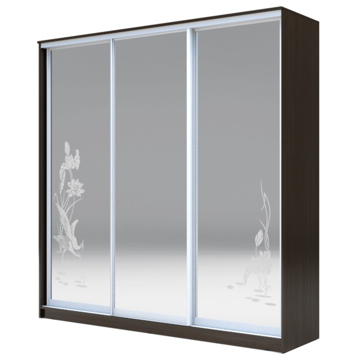 Шкаф-купе Хит-23-20-656 Венге магия, Цапли