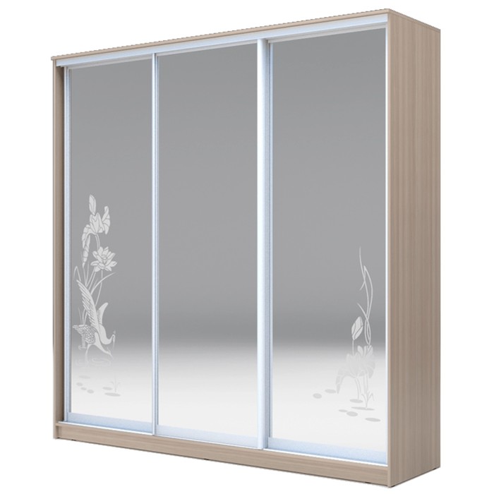 Шкаф-купе Хит-23-20-656 Ясень шимо светлый, Цапли