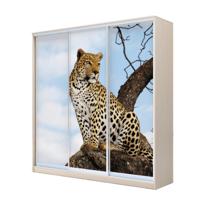 Шкаф-купе Хит-24-20-777 Дуб девонширский, Леопард